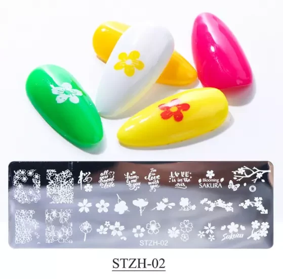 AnyConv.com__stzh02.webp