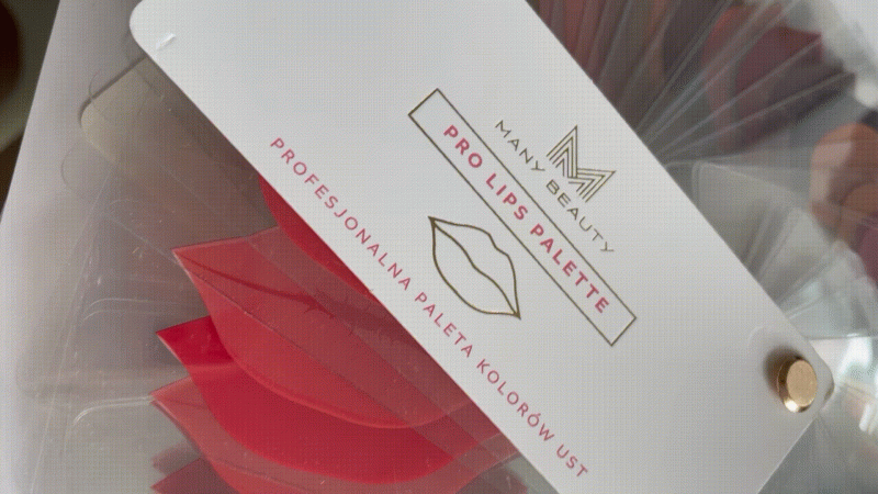 Pro Lips Palette | bezbarwna paleta kolorów ust | dobór kolorów makijaż | makijaż permanentny